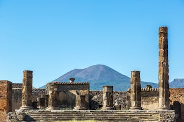 Pompeii & Vesuvius Wine Tour